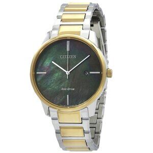 FX04072B NWT Citizen Fashion Womens Eco-Drive Steel Authentic Watch